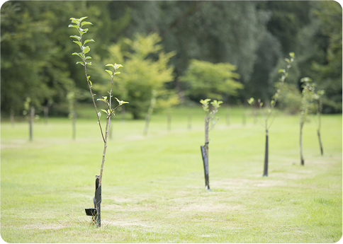 Working with our community to create a better environment. 