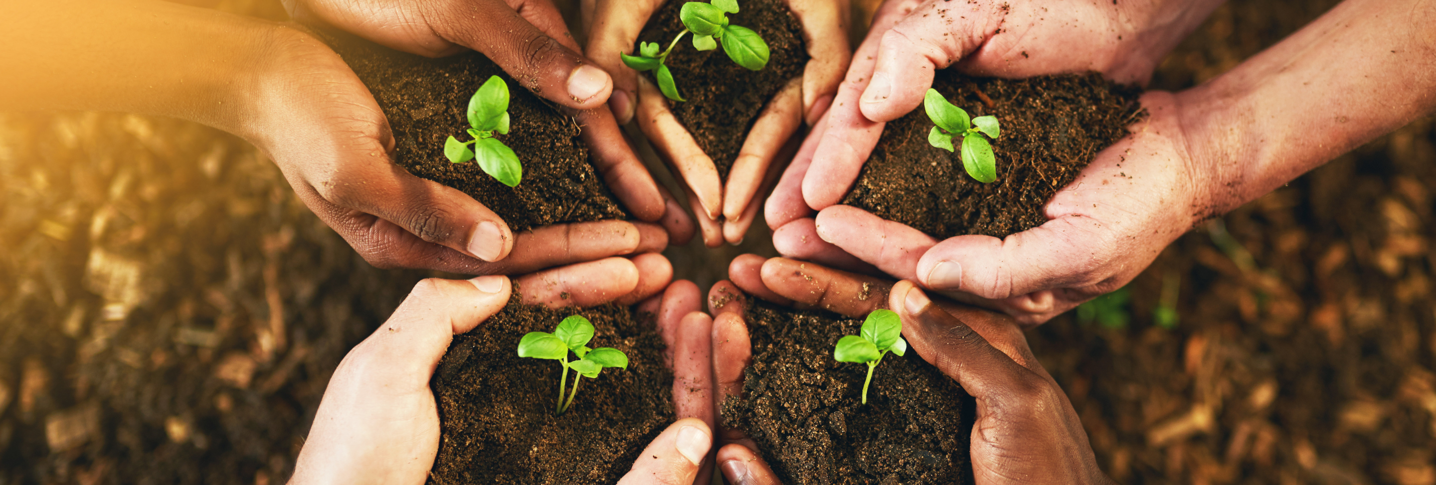 Building a Greener Tomorrow with Smarter Blocks 